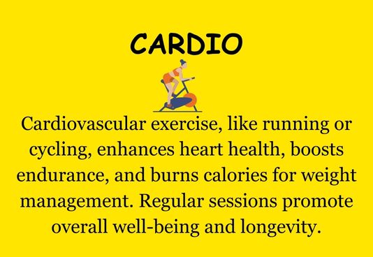 Best Cardio Gym Machine